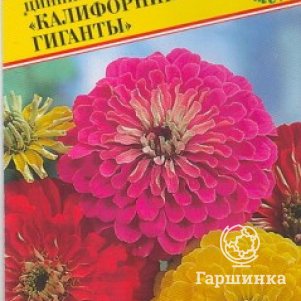 

Цинния Калифорнийские гиганты изящная 35 шт, Семена Престиж