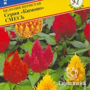 

Цинния Лилипут изящная 35 шт, Семена Престиж