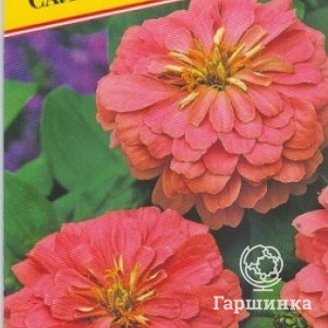 

Цинния Салмон Квин 10 шт, Семена Престиж