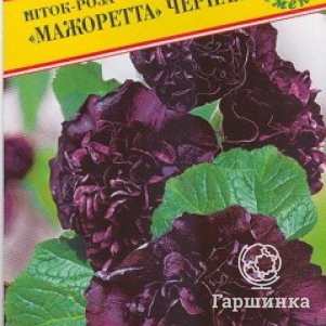 Шток-роза Мажоретта Черная 0,2 г, Семена Престиж