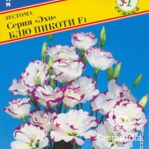 

Эустома Блю Пикоти (серия Эхо) 10 др, Семена Престиж