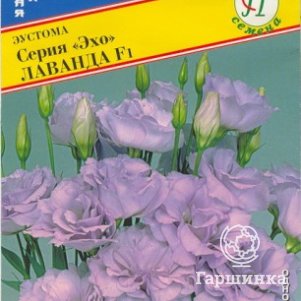 

Эустома "Эхо" Лаванда F1 10 др, Престиж