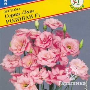 

Эустома Розовая F1 (серия Эхо) 10 др, Семена Престиж