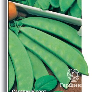 

Горох Орегон шуга 10 овощной, Семена Поиск