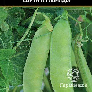 

Горох Эверест (А) 10 овощной, Семена Поиск