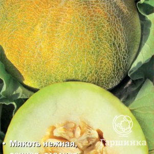 

Дыня Медовый Спас 10шт, Семена Поиск