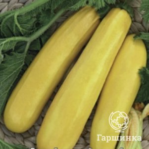 Кабачок Золотинка А 2г Семена Поиск 29₽