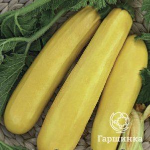 Кабачок Золотинка 12 шт Семена Поиск 39₽