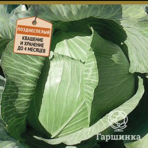 

Капуста Бомонд Агро F1 белокочанная 0,2 г, Семена Поиск