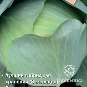 

Капуста Герцогиня F1 белокочанная 0,2 г, Семена Поиск