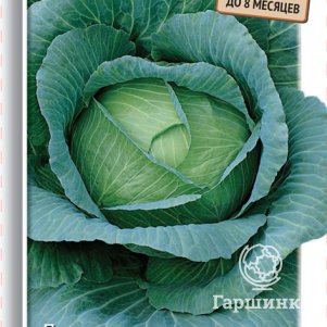 

Капуста Зимовка 1474 белокочанная 0,5 г, Семена Поиск