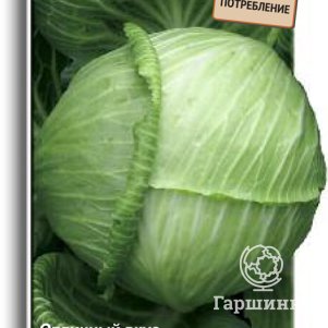 

Капуста Золотой гектар 1432 белокочанная 0,5 г, Семена Поиск