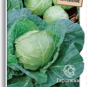 

Капуста Казачок F1 белокочанная 0,2 г, Семена Поиск