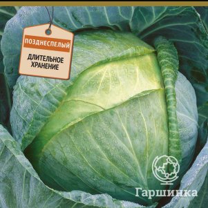 

Капуста Морозко белокочанная 0,5 г, Семена Поиск