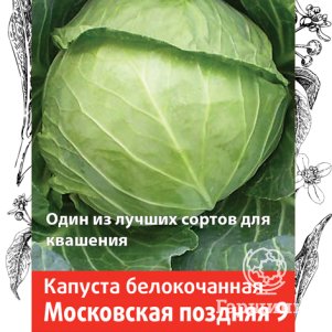 

Капуста Московская поздняя 9 белокочанная 0,5 г, Семена Поиск