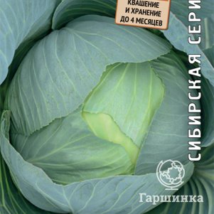 

Капуста Сибирячка 60 белокочанная 0,5 г, Семена Поиск