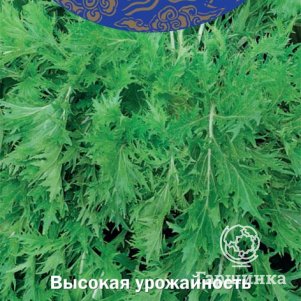

Японская капуста Изумрудный узор (А) 0,5 г, Семена Поиск