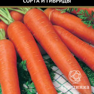 

Морковь Берликум Роял (А) 2г, Семена Поиск