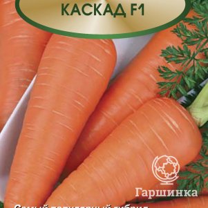 Морковь Каскад F1 0,5г, Семена Поиск