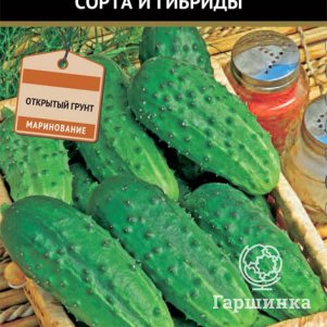 

Огурец Диана F1 (А) 12, Семена Поиск