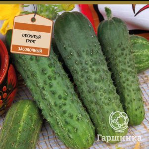 

Огурец Королевский F1 (А) 12, Семена Поиск