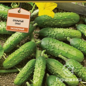 

Огурец Купеческий F1 (А) 12 шт, Семена Поиск