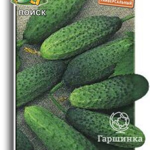 

Огурец Натали F1 12, Семена Поиск