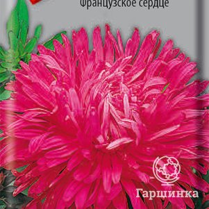 

Астра Французское сердце 0,3 г, Семена Поиск
