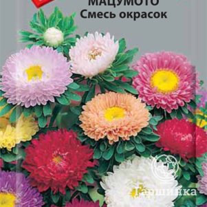 Астра Смесь окрасок Мацумото  0,1, Семена Поиск