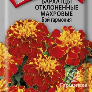 

Бархатцы отклоненные махровые Бой гармония 0,4, Поиск