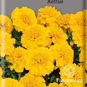 

Бархатцы Хохлома Желтые 0,4 г, Семена Поиск