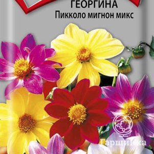 

Георгина Пикколо Мигнон Микс 0,3 г, Семена Поиск