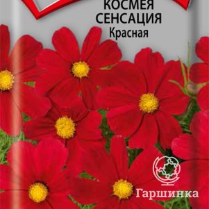 

Космея Сенсация Красная 0,3, Поиск