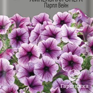 Петуния ампельная Опера Парпл Вейн 5 Поиск 299₽