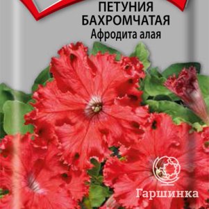 

Петуния бахромчатая Афродита алая 10, Поиск