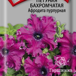 Петуния Афродита пурпурная бахромчатая 10, Семена Поиск