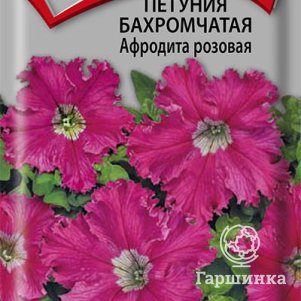 Петуния Афродита розовая бахромчатая 10, Семена Поиск