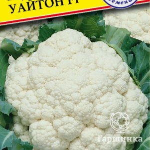 Цветная капуста Уайтон F1 7 шт, Семена Престиж