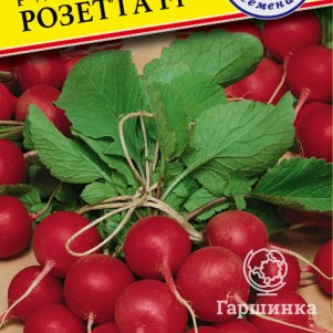 Редис Розетта F1 1 г Семена Престиж 64₽