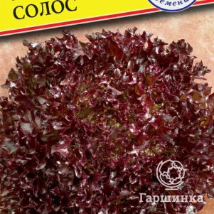 Салат Солос 5 драже Семена Престиж 43₽