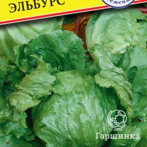 Салат Эльбрус 10 шт Семена Престиж 21₽