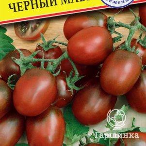 

Томат Черный Мавр 10 шт, Семена Престиж
