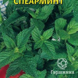 

Мята Спеарминт 0,0006 г, Плазменные семена
