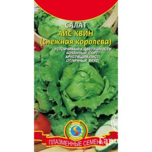 Салат Айс Квин (Снежная королева) 0,5 г, Плазменные семена