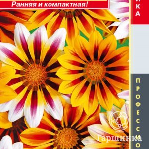 Гацания Тигровая смесь F1 (серия New Day) 5шт, Плазменные семена