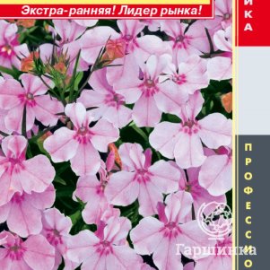 

Лобелия Ривьера Лилак кустовая (серия Riviera) 8 мультидрж в пробир, Плазменные семена