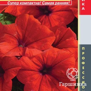 

Петуния Лимбо Красная крупноцветковая F1 (серия Limbo) 10драже в пробирке, Плазменные семена