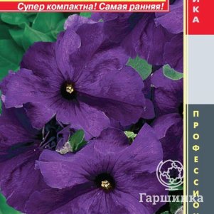 Петуния Лимбо Синяя крупноцветковая F1 (серия Limbo) 10драже в пробирке, Плазменные семена