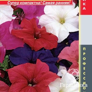 Петуния Лимбо смесь крупноцветковая F1 (серия Limbo) 10драже в пробирке, Плазменные семена