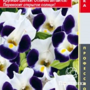 

Торения Маяк (серия Hi Lite) 4 шт, Плазменные семена